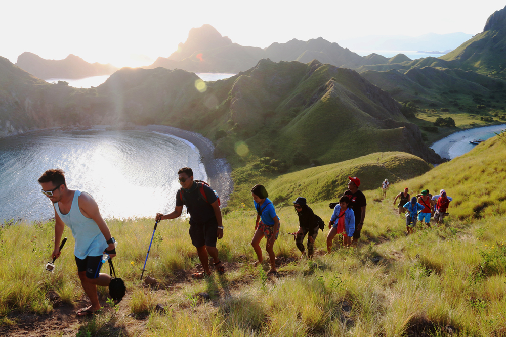 Padar Island Hike: Can You Do It? Comparing Difficulty to Other Hikes in Indonesia
