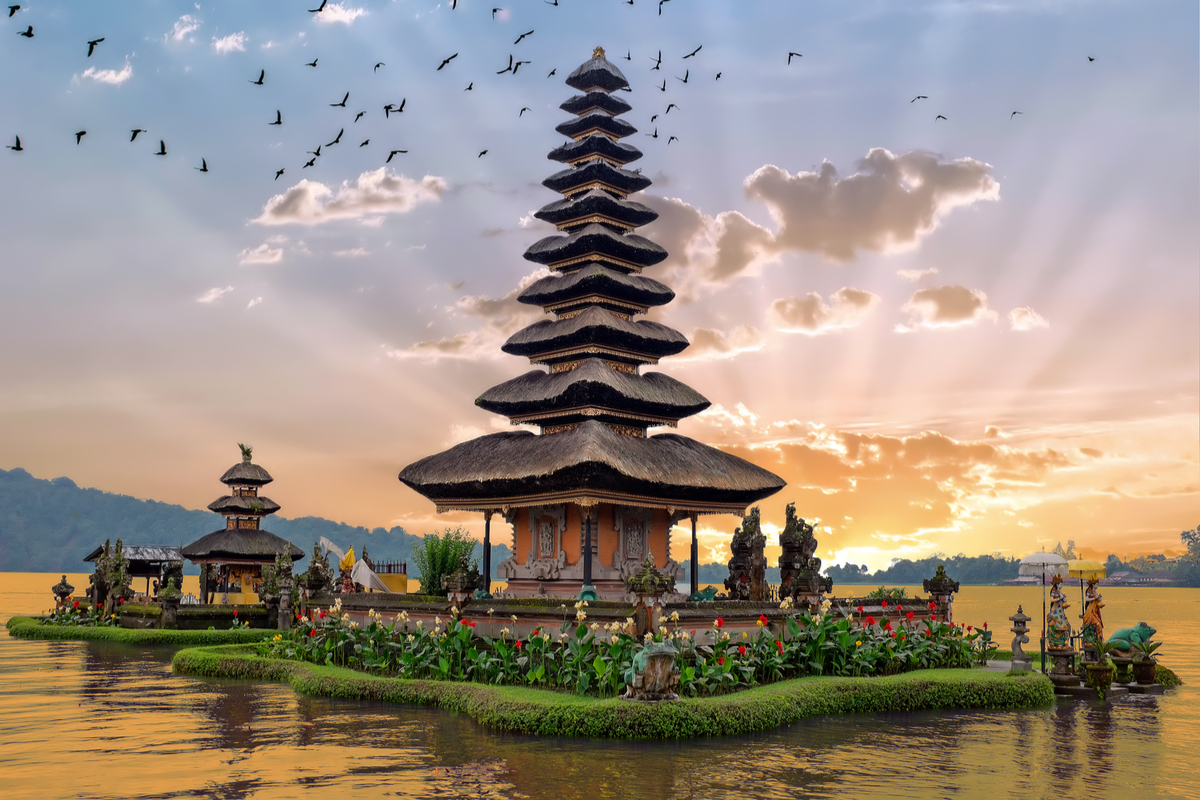Health & Fitness Business Ideas in Bali